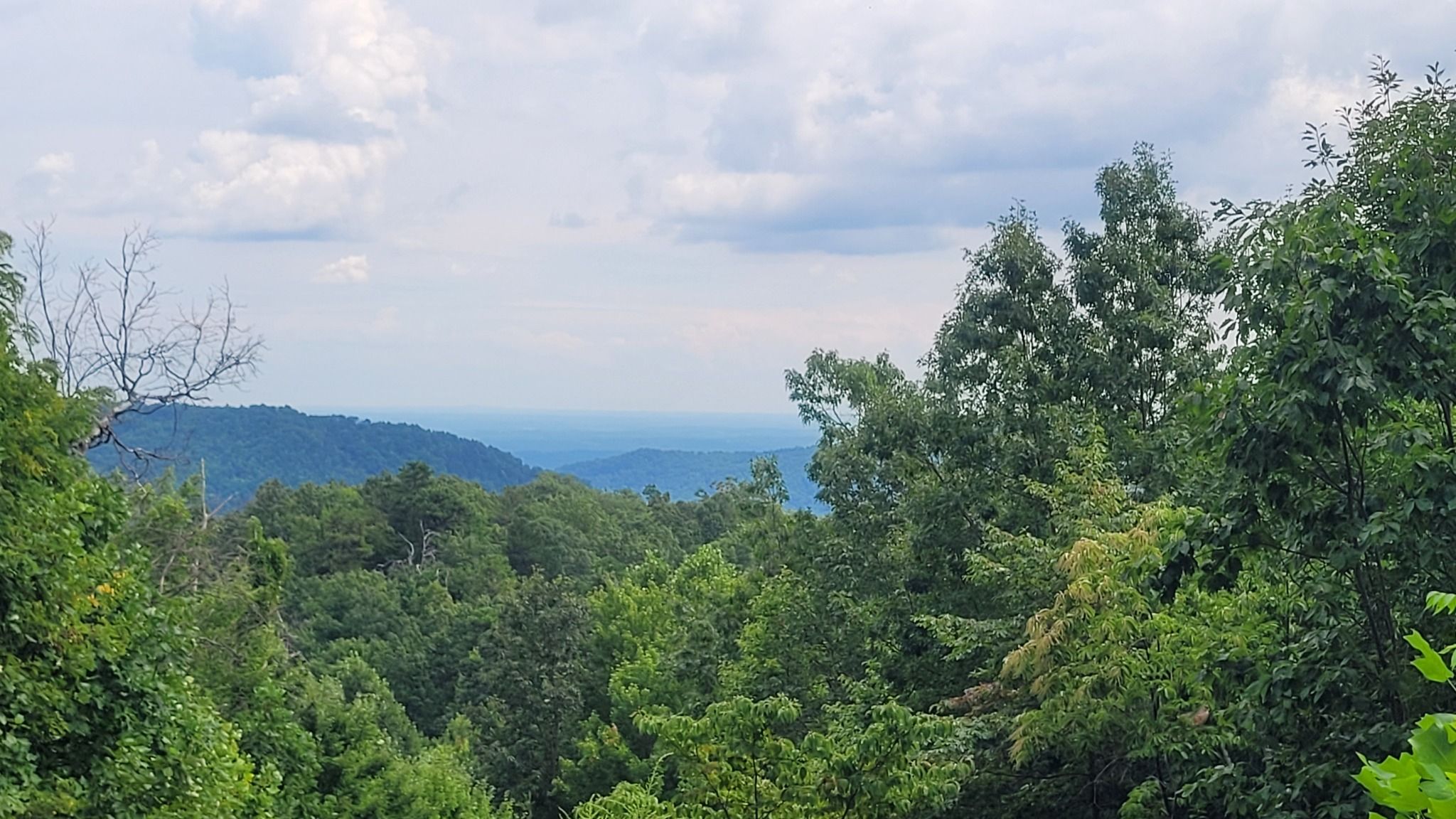 Mountain view overlooking forested landscape in Old Fort North Carolina Blue Ridge Mountains